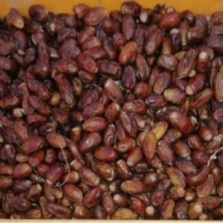 Aseel Dates Bulk